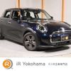 mini mini-others 2021 CFJ1598807 image 1