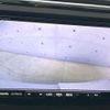 volkswagen the-beetle 2014 quick_quick_16CBZ_WVWZZZ16ZEM663228 image 4