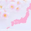 suzuki wagon-r-stingray 2017 GOO_JP_700020839330250602002 image 38