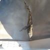toyota dyna-truck 2010 CFJ1523905 image 35