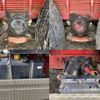 hino profia 2003 -HINO--Profia FS1KPHA--50105---HINO--Profia FS1KPHA--50105- image 4