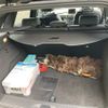 mercedes-benz b-class 2012 CFJ1763780 image 15