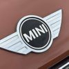 mini mini-others 2017 CFJ1591446 image 61