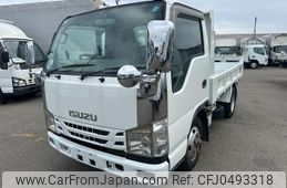 isuzu elf-truck 2007 GOO_NET_EXCHANGE_0303355A30241126W001