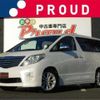 toyota alphard 2010 -TOYOTA--Alphard ANH20W--ANH20-8094843---TOYOTA--Alphard ANH20W--ANH20-8094843- image 1