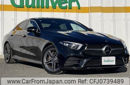 mercedes-benz cls-class 2019 -MERCEDES-BENZ--Benz CLS LDA-257314--WDD2573142A053546---MERCEDES-BENZ--Benz CLS LDA-257314--WDD2573142A053546-