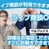 suzuki alto 2017 GOO_JP_700060017330250428030 image 31