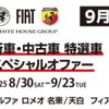 alfa-romeo alfa-romeo-others 2025 CFJ1796480 image 3