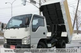 isuzu elf-truck 2010 GOO_NET_EXCHANGE_0303157A30250122W001