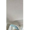 nissan march 2017 -NISSAN--March DBA-K13--K13-385947---NISSAN--March DBA-K13--K13-385947- image 30