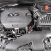 mini mini-others 2016 CFJ1761856 image 7
