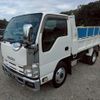 isuzu elf-truck 2010 CFJ1753169 image 2