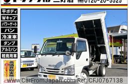 isuzu elf-truck 2019 GOO_NET_EXCHANGE_0208643A30250215W001