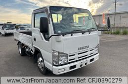 isuzu elf-truck 2009 GOO_NET_EXCHANGE_0701687A30241030W001