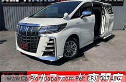 toyota alphard 2019 CFJ1507466