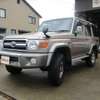 toyota landcruiser-70 2015 CFJ3538858 image 3