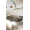 nissan sunny 2002 -NISSAN--Sunny UA-FB15--FB15-371528---NISSAN--Sunny UA-FB15--FB15-371528- image 20