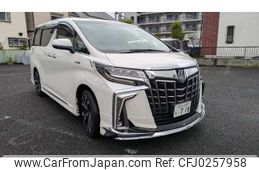 toyota alphard 2020 -TOYOTA 【足立 345ﾑ 718】--Alphard AYH30W--AYH30-0110876---TOYOTA 【足立 345ﾑ 718】--Alphard AYH30W--AYH30-0110876-