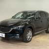 mazda cx-8 2017 CFJ0461431 image 14