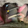 nissan note 2020 CFJ1639984 image 20