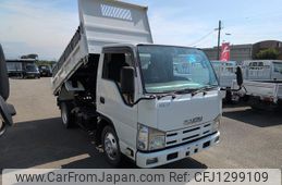 isuzu elf-truck 2010 GOO_NET_EXCHANGE_0701687A30250613W001