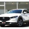 mazda cx-3 2019 quick_quick_5BA-DMEP_DMEP-100132 image 1