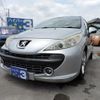 peugeot 207 2007 GOO_JP_700054078630240717001 image 14