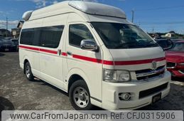 toyota hiace-van 2010 GOO_JP_700070884830241009011