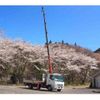 mitsubishi-fuso fighter 2007 CFJ1605440 image 14