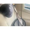 toyota raum 2004 CFJ1557813 image 13