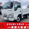 isuzu elf-truck 2018 GOO_NET_EXCHANGE_0730189A30250531W001 image 1