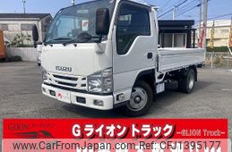 isuzu elf-truck 2019 GOO_NET_EXCHANGE_0730189A30250708W002