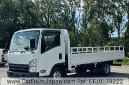 isuzu elf-truck 2010 GOO_NET_EXCHANGE_0704404A30240905W002