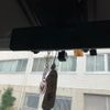 daihatsu tanto-exe 2010 -DAIHATSU--Tanto Exe DBA-L455S--L455S-0011278---DAIHATSU--Tanto Exe DBA-L455S--L455S-0011278- image 22