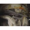 subaru impreza 1998 -SUBARU--Impreza GC8-068859---SUBARU--Impreza GC8-068859- image 12