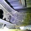 toyota dyna-truck 2013 -TOYOTA--Dyna KDY281--KDY281-0009710---TOYOTA--Dyna KDY281--KDY281-0009710- image 26