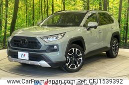 toyota rav4 2019 CFJ1539392