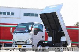 isuzu elf-truck 2019 GOO_NET_EXCHANGE_0505500A30250205W001