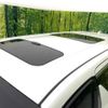 toyota alphard 2021 CFJ1573472 image 4