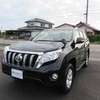 toyota land-cruiser-prado 2016 504749-RAOID:9954 image 6