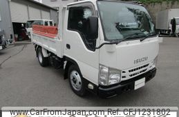 isuzu elf-truck 2019 GOO_NET_EXCHANGE_0403852A30250603W001