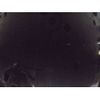 lexus is 2021 CFJ1522641 image 12