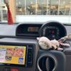 toyota spade 2014 CFJ1816967 image 18