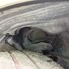 daihatsu rocky 2020 CFJ1698980 image 20