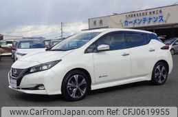 nissan leaf 2018 GOO_JP_700080015330250107001