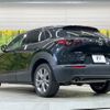 mazda cx-3 2020 CFJ1817056 image 17