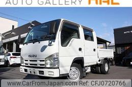 isuzu elf-truck 2008 GOO_NET_EXCHANGE_0708619A30250204W001