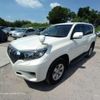 toyota land-cruiser-prado 2017 -TOYOTA--Land Cruiser Prado LDA-GDJ150W--GDJ150-0024359---TOYOTA--Land Cruiser Prado LDA-GDJ150W--GDJ150-0024359- image 10