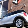 mini mini-others 2017 CFJ1606294 image 9