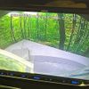suzuki solio 2023 CFJ1752430 image 7